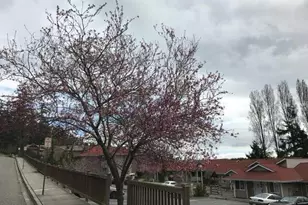 525 Perry Pl, Friday Harbor, WA 98250 - Photo 3