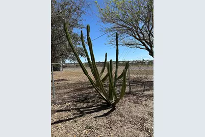 7536 State Highway 107, Mission, TX 78573 - Photo 13