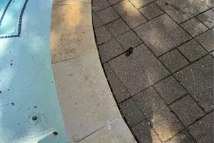 20211 Sunrise Glen Ct, Spring, TX 77379 - Photo 39