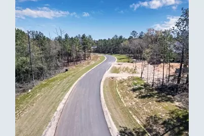 25349 High Meadow West Drive, Montgomery, TX 77316 - Photo 35