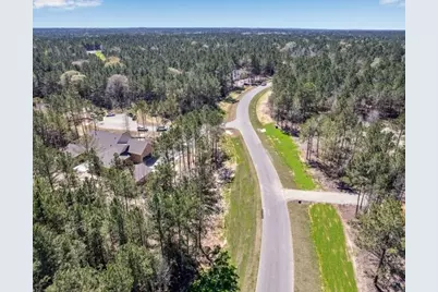 25349 High Meadow West Drive, Montgomery, TX 77316 - Photo 31