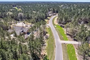 25349 High Mdw W Dr, Montgomery, TX 77316 - Photo 31