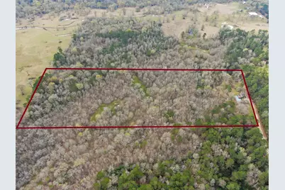 10081 Rocky Ridge Lane, Madisonville, TX 77864 - Photo 5