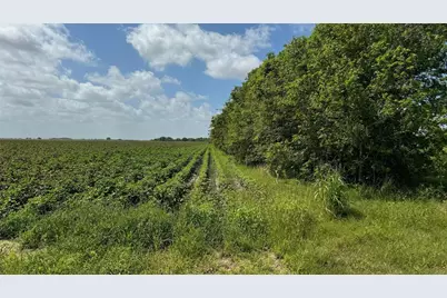 Tbd Lot 1 County Road 414, El Campo, TX 77437 - Photo 7