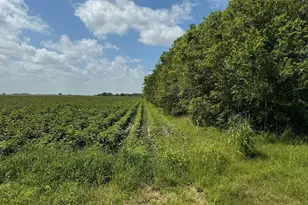 Tbd Lot 1 County Road 414, El Campo, TX 77437 - Photo 7