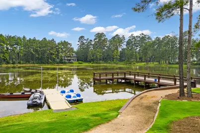 4463 Lily Bean Road, Montgomery, TX 77316 - Photo 43