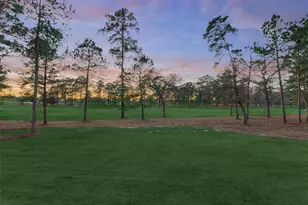 4463 Lily Bean Rd, Montgomery, TX 77316 - Photo 9