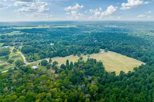 3269 Acr 153, Palestine, TX 75801 - Photo 47