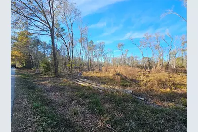 Lot 2 Sherwood Drive, Shepherd, TX 77371 - Photo 13