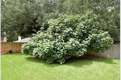 3522 Pecan Point Drive, Sugar Land, TX 77478 - Photo 21