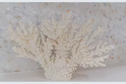 13826 Pirates Beach Boulevard, Galveston, TX 77554 - Photo 19