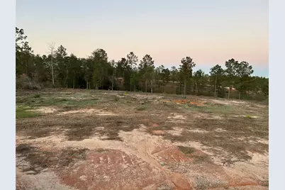 0 Western Road, Livingston, TX 77351 - Photo 23