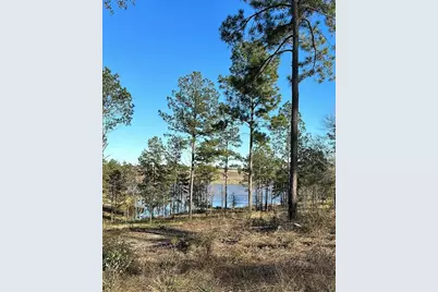 0 Western Road, Livingston, TX 77351 - Photo 5