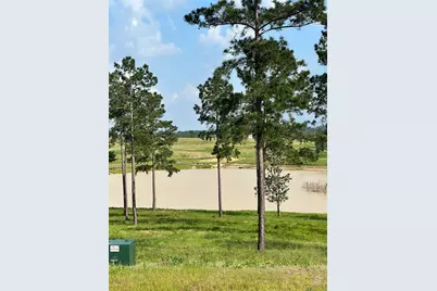 0 Western Road, Livingston, TX 77351 - Photo 15