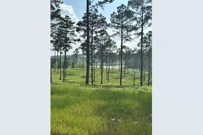 0 Western Road, Livingston, TX 77351 - Photo 19