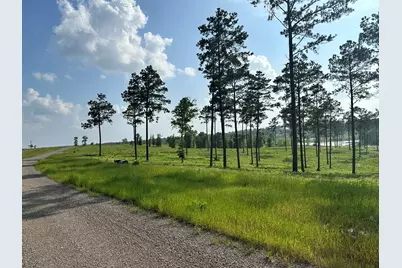 0 Western Road, Livingston, TX 77351 - Photo 1