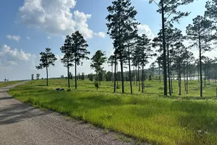 0 Western Rd, Livingston, TX 77351 - Photo 1