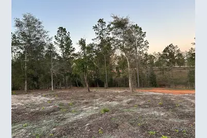 0 Western Road, Livingston, TX 77351 - Photo 25