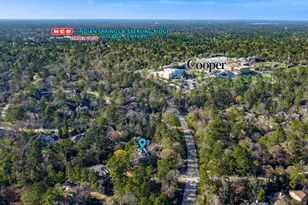 23 Tealbriar Cir, The Woodlands, TX 77381 - Photo 9