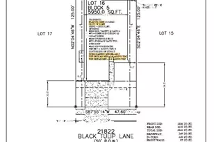 21822 Black Tulip Ln, Cypress, TX 77433 - Photo 5