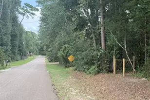 001 N Lake Shore Dr Dr N, Conroe, TX 77303 - Photo 9