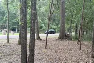 001 N Lake Shore Dr Dr N, Conroe, TX 77303 - Photo 5