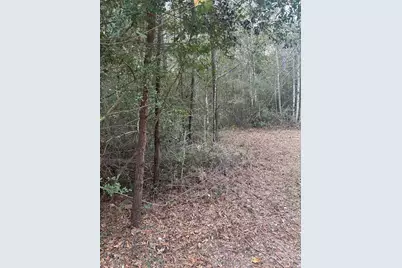 Tbd Firetower, Conroe, TX 77306 - Photo 9