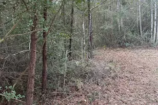 Tbd Firetower, Conroe, TX 77306 - Photo 9