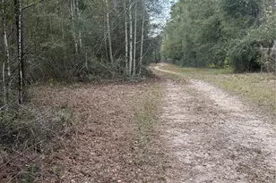 Tbd Firetower, Conroe, TX 77306 - Photo 11