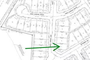 19214 Trinity Ter Ln, Spring, TX 77379 - Photo 17