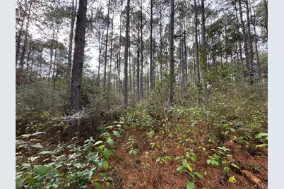 64-22-12 Granite Road, Huntsville, TX 77340 - Photo 3