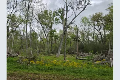 0 Kings Oak Drive, Damon, TX 77430 - Photo 7