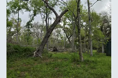 0 Kings Oak Drive, Damon, TX 77430 - Photo 11