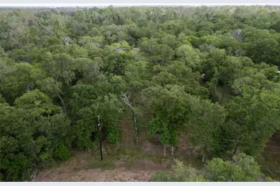 0 Kings Oak Drive, Damon, TX 77430 - Photo 27