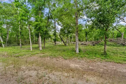 0 Kings Oak Drive, Damon, TX 77430 - Photo 5