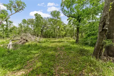 0 Kings Oak Drive, Damon, TX 77430 - Photo 13