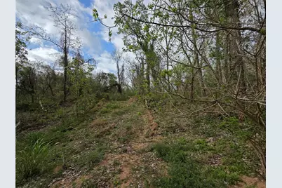 0 Kings Oak Drive, Damon, TX 77430 - Photo 3