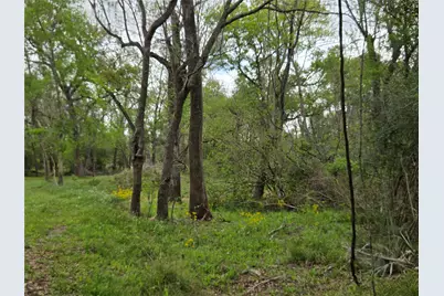 0 Kings Oak Drive, Damon, TX 77430 - Photo 5