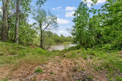 0 Kings Oak Drive, Damon, TX 77430 - Photo 3