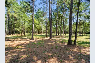 3A-16-3A Grand View, Huntsville, TX 77340 - Photo 15