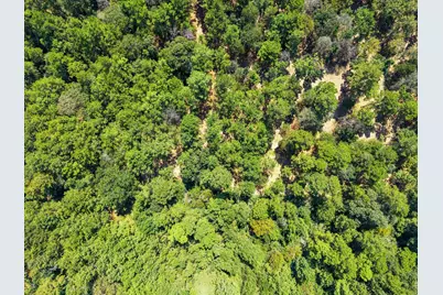 3A-16-3A Grand View, Huntsville, TX 77340 - Photo 3