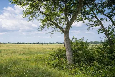 10318 County Road 67, Manvel, TX 77578 - Photo 1