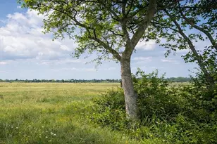 10318 County Rd 67, Manvel, TX 77578 - Photo 1