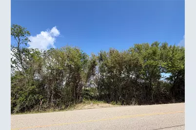 10318 County Road 67, Manvel, TX 77578 - Photo 5
