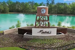 16632 Sterling Clf St, Conroe, TX 77302 - Photo 45