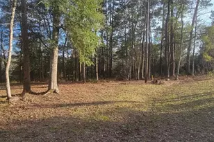 250 Wood Haven Haven, Livingston, TX 77351 - Photo 13