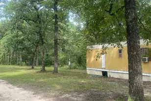 137 Camp Rd, Trinity, TX 75862 - Photo 3