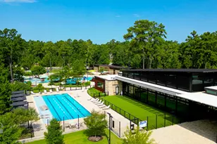 323 Fanpalm Ct, Willis, TX 77318 - Photo 45