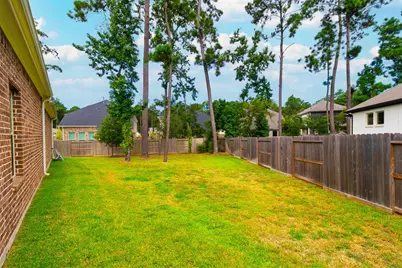 323 Fan Palm Court, Willis, TX 77318 - Photo 5