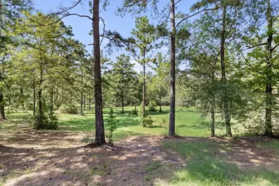 5485 County Road 3400, Colmesneil, TX 75938 - Photo 5